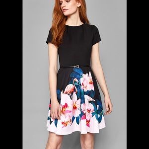 Ted Baker Dress